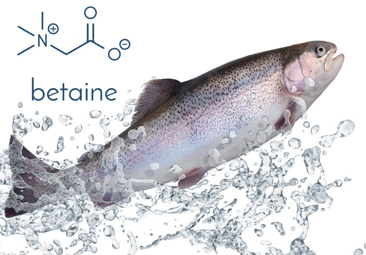 Betaine.jpg