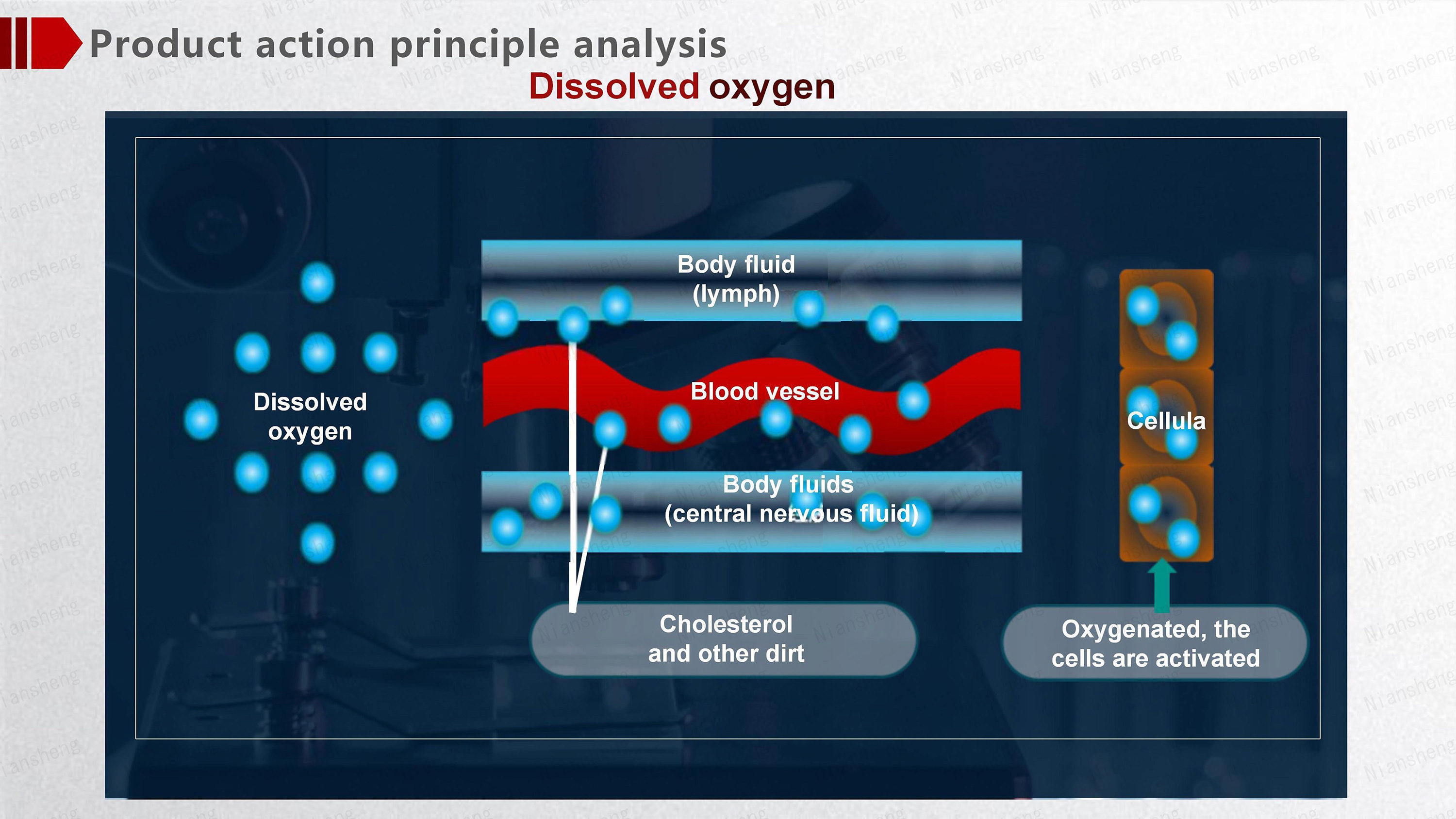 news~oxygen-chamber-5.jpg