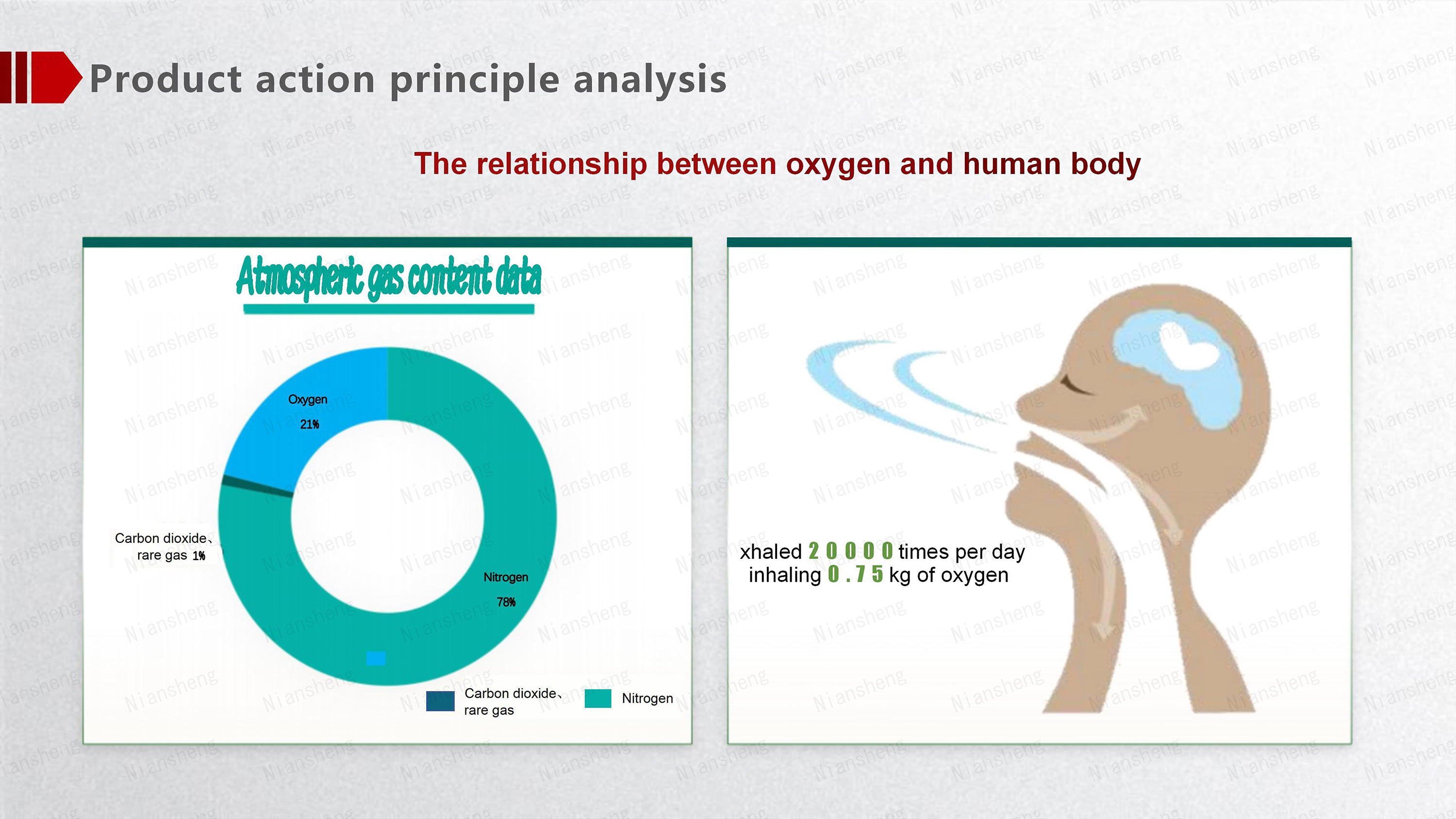 news~oxygen-chamber-1.jpg